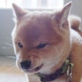 ace3ace2's profile picture. 