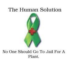 Be the solution. End prohibition now! Don't Legalize! Decriminalize!!
No Victim No Crime