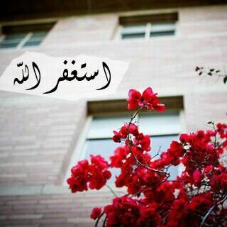 ‏الانستقرام........wxwx9