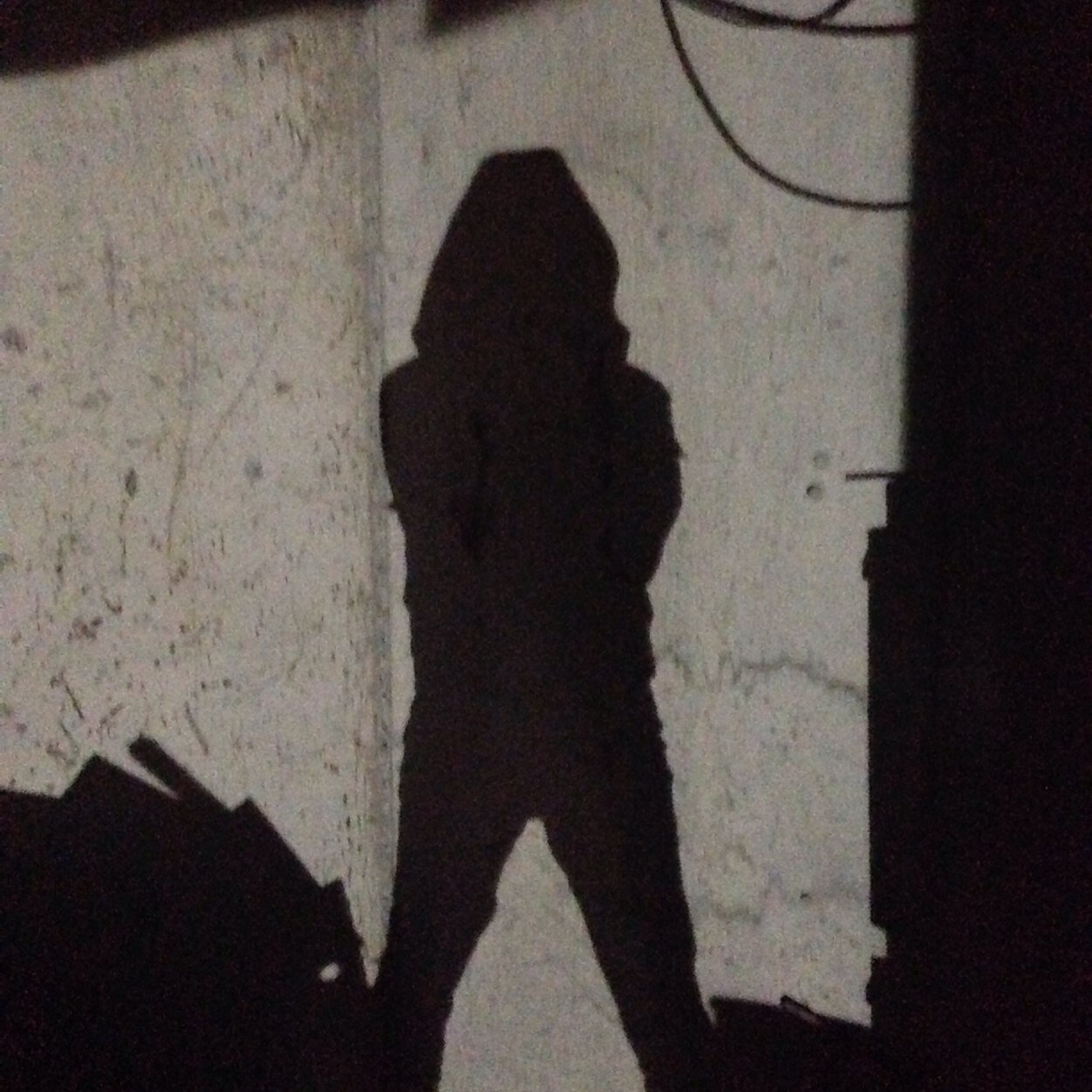 impulseresponse's profile picture. son ses bükücü