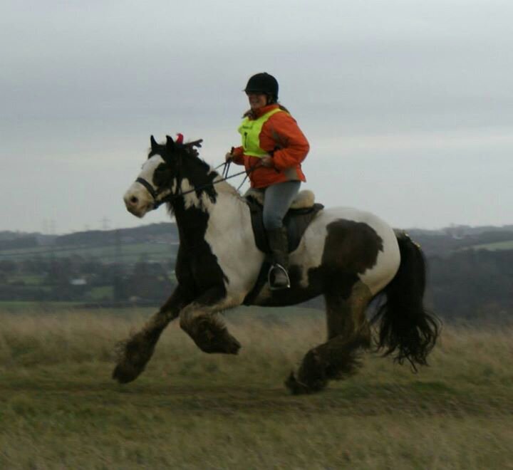 ceoshurman's profile picture. 