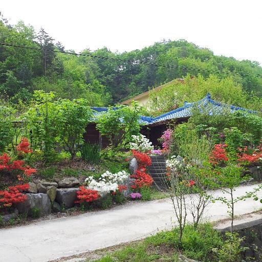 익숙하지 않은 것에 대한 호의(好意)/역발상/지나친 긍정은 몽매(蒙昧),지나친 부정은 사멸(死滅)/ 시골白手