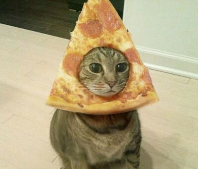 In pizza we crust