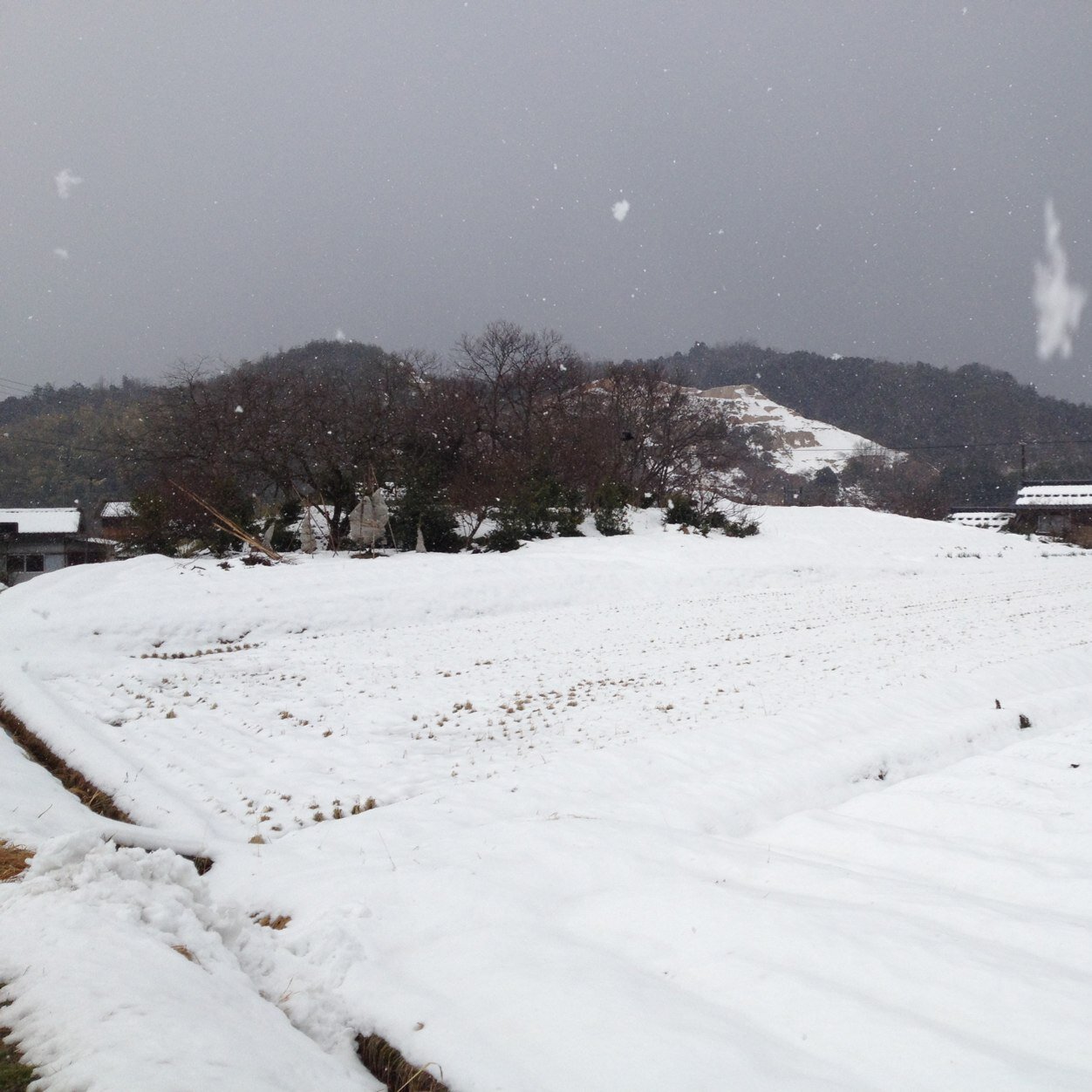 Tbnirvana's profile picture. 