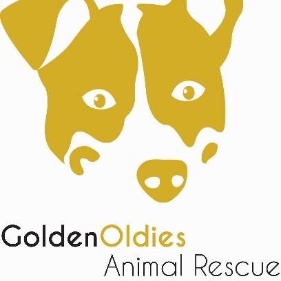 We are a charity started to help save the older animals in pounds and shelters across NSW. To Help Please consider Adopting - Fostering - Donating.