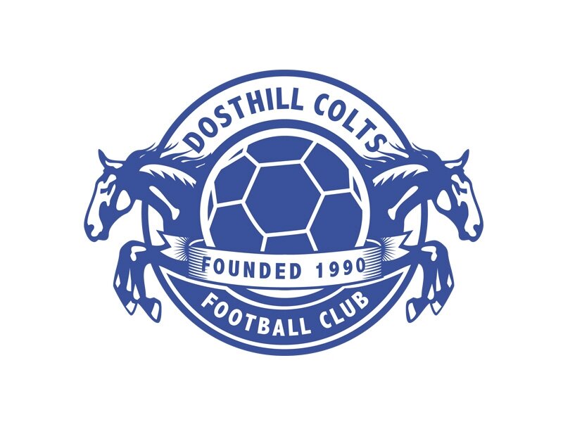 DosthillColts's profile picture. 