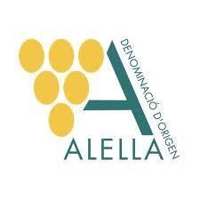 DO_Alella's profile picture. 