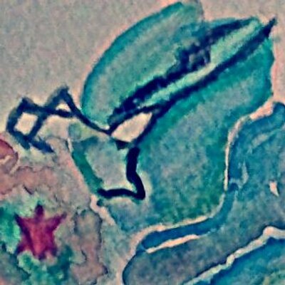 あか