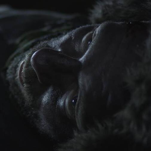 zephrafilm's profile picture. 