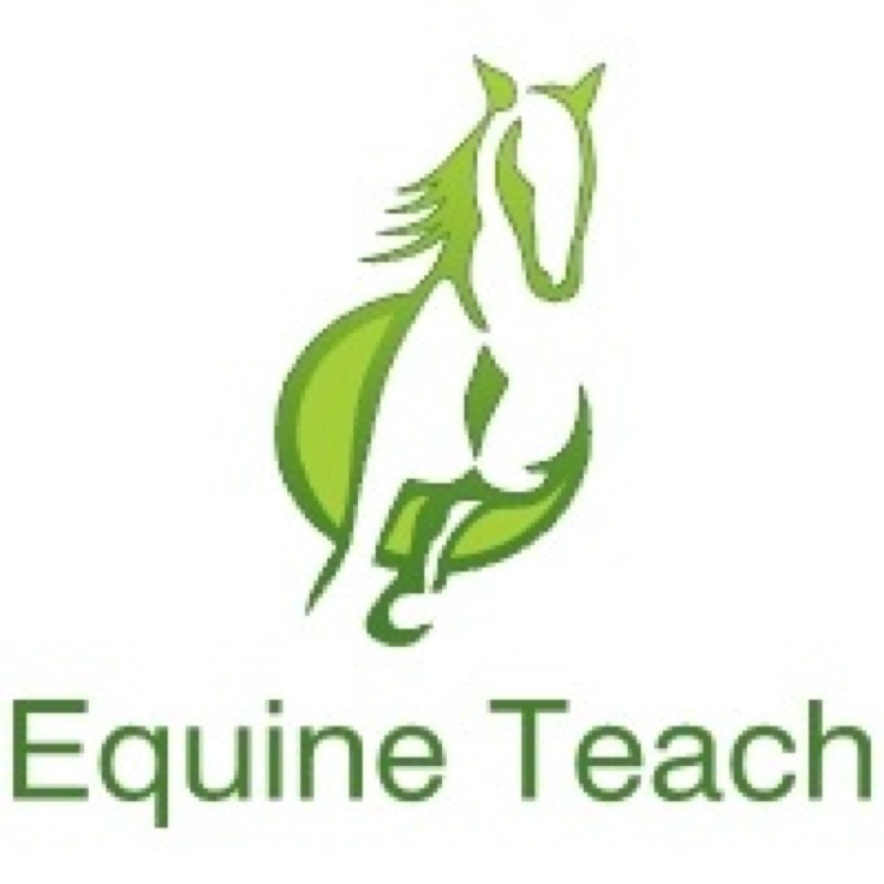 Equine Teach twitter is here for equine tips and facts & a few smiles. #equineteach #horses #pony #biomechanics #feeding #science #riding #freelancecoach
