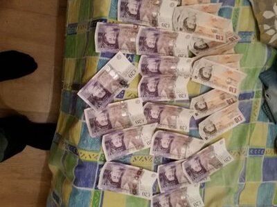 morrisbell234's profile picture. 