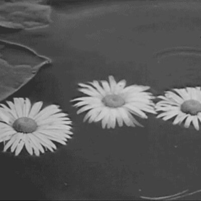 we don't remember happiness because it doesn't leave scars.
