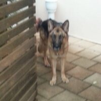 Zander (@zander49) 's Twitter Profile