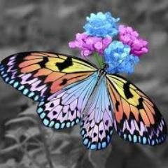I like when people open to me, I feel like they can trust me,........It is a good feeling.....