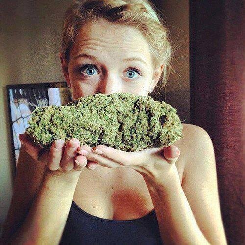We tweet about kushes, joints and weed : all that stuff that make our everyday life much, much more enjoyable.