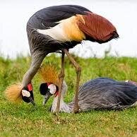 Uganda – A Never-Ending Journey”
