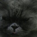 Sylvia Lara - @649d7fb75d8c45b - Twitter