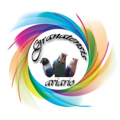 TempoAgapornis's profile picture. Prepara tu Temporada de Cria con los mejores Agapornis. Campeón de Andalucia. Bronce de España. Seleccion y Cria Agapornis Personata y Fischer. GRANADA (SPAIN)