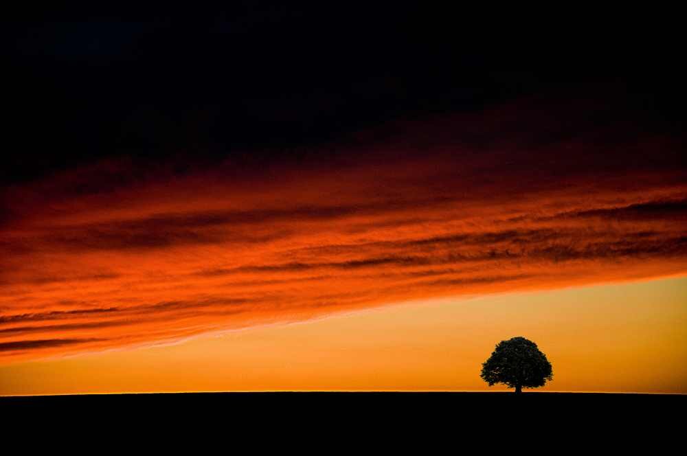 SvenKantorek's profile picture. 