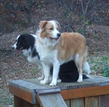 sion3131's profile picture. 길고 긴 이야기의 나그네 ~!^  / trade_offer / tennis,golf,driving / Wanderer / Traveler / Nihilist / Nazarene / 매너 & 멘션후 맞팔 100%^^