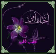 ‏‏‏ابوماجد