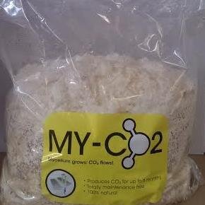MyCo2Bags's profile picture. My-CO2 Mycelium Grows CO2 Flows  is an aggressive Mycelial Mass that provides CO2 For Up To 6 Months, 100% Natural, Innovative double sided breather strip !