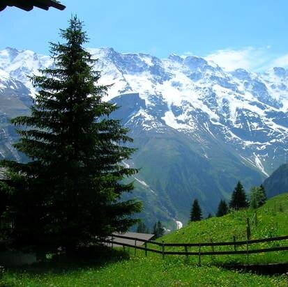 S77Rahul's profile picture. 