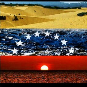 nuryslinares's profile picture. 