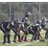 saxfootball's profile image