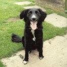 PrescottTim's profile picture. 