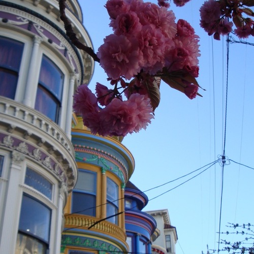 sfqueer's profile picture. SF Bay Area queer events. Make sure to double-check organizer websites. Not interactive. Keeper's twitter account is @larrybobsf