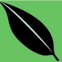 David Deymel (@ddeymellh) 's Twitter Profile
