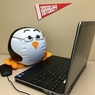 Profile picture is of Webbie, the Distance Education Mascot!