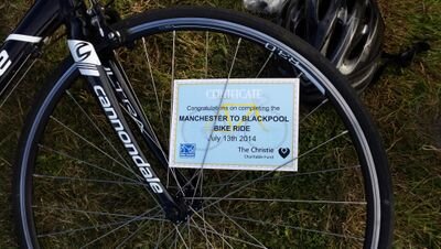 Losty84's profile picture. Bio : Organic