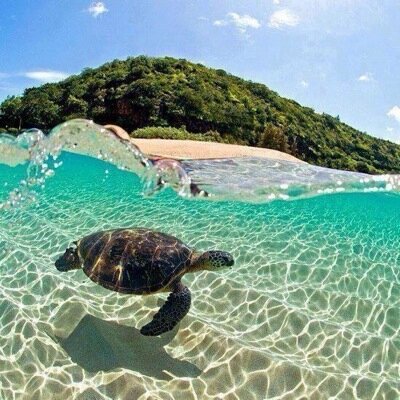 Vive cada día como si fuera el último
