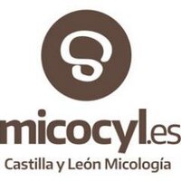Programa Micocyl (@micocyl) 's Twitter Profile Photo Programa Micocyl (@micocyl) 's Twitter Profile Photo