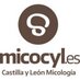 Programa Micocyl (@micocyl) Twitter profile photo