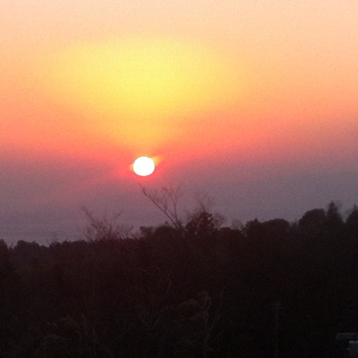 daijest0927's profile picture. 23歳男