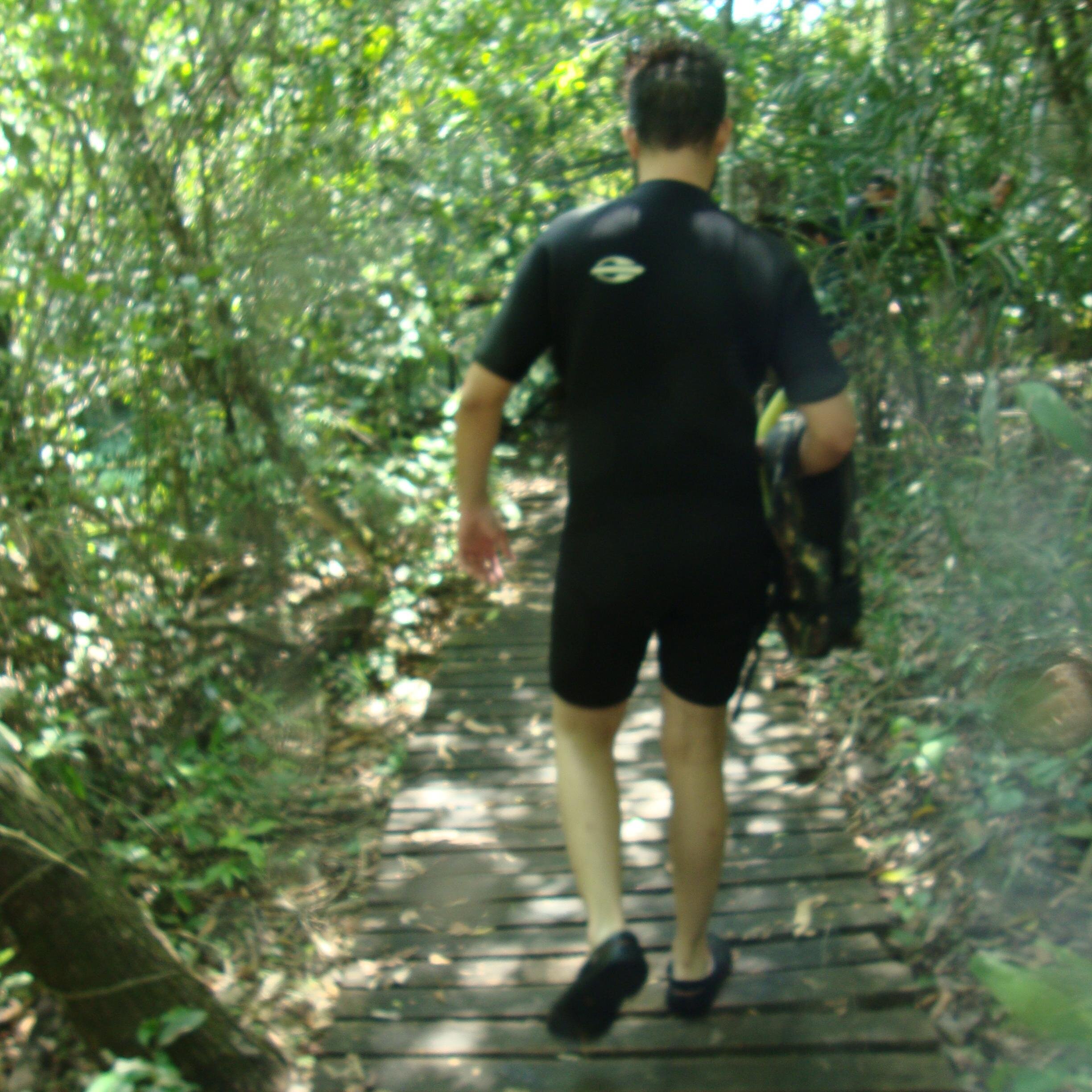 fredytocarvalho's profile picture. 