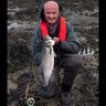 EireBass's profile picture. Saltwater fly fishing guide from Irelands first boat licensed for such a venture. General guide also for all types of angling.Retired Commander Irish Navy.