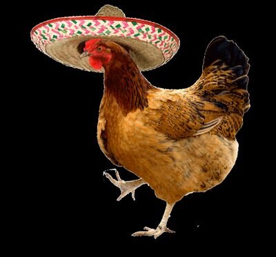 First things first I'm the chicken/ 0/12