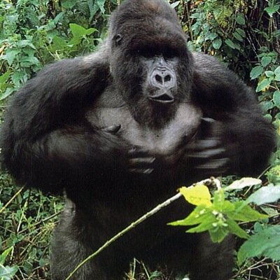 ｳｨｴﾎﾎﾎﾎ ｳﾎﾎﾎｰｲ ｵﾎﾎｯﾎｯﾎﾎｰｲｰﾎ ｳｪｲﾎﾎﾎｰｲｳｨﾎｰﾎ