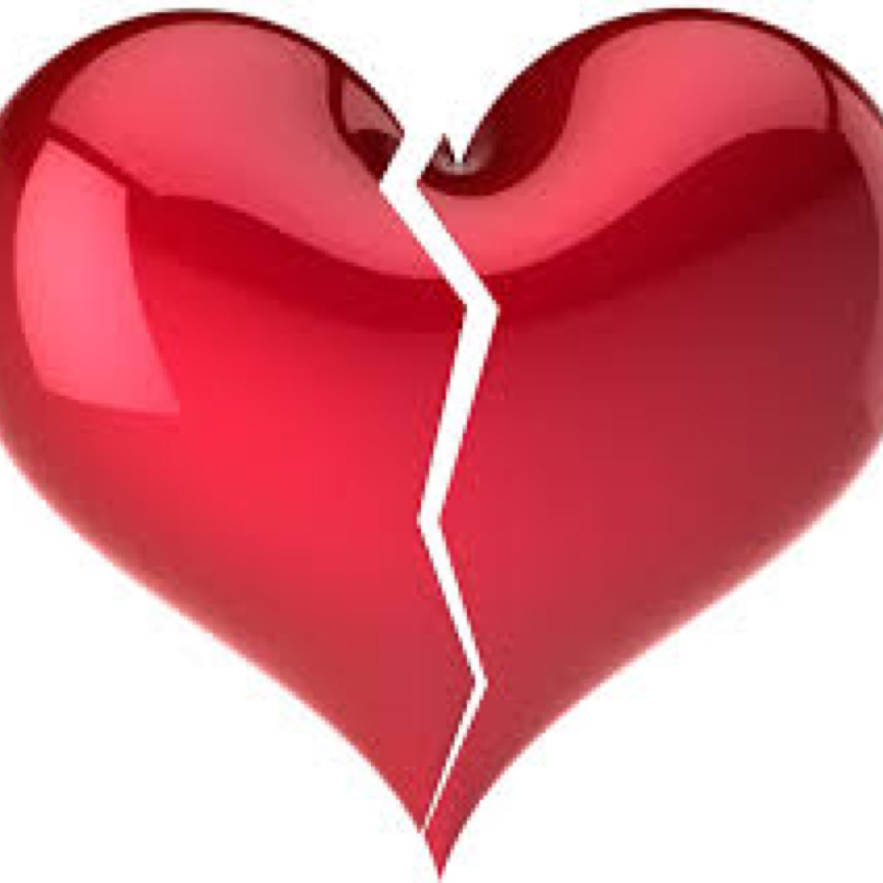 FINNandRACHEL's profile picture. Lea Michele tweeted me on 1/31/13! ♫ She and Cory are my angel muffin pies.