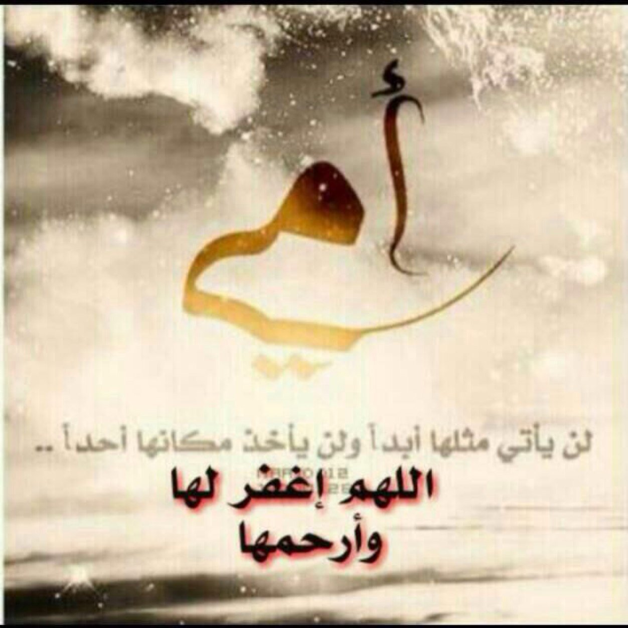 افتقدهآ وادعۆا اللہ دائما ان يجمعني بها في جنات النعيم ❤