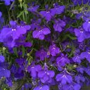 david rodwell - @DavidTattoos - Twitter