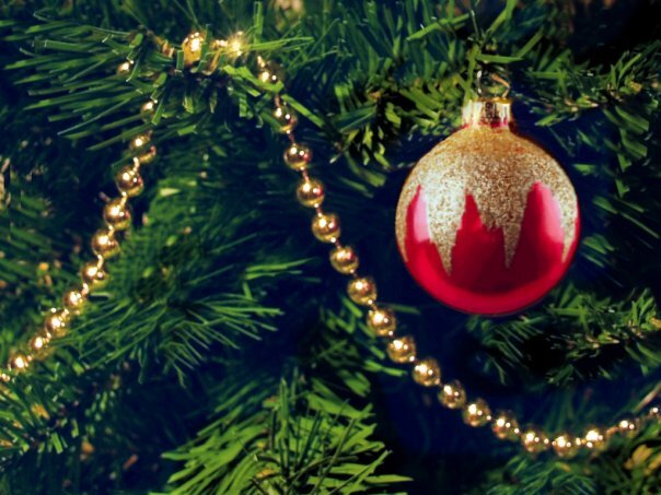 EmigMichael's profile picture. The rear of the building was dark and the sky was moonless.