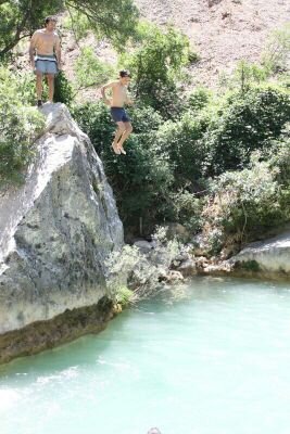 manu_marron's profile picture. 