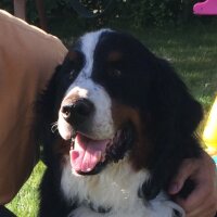 TJ (@dmb_spartan) 's Twitter Profile