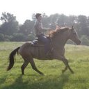 Nathan Garver - @garver6 - Twitter