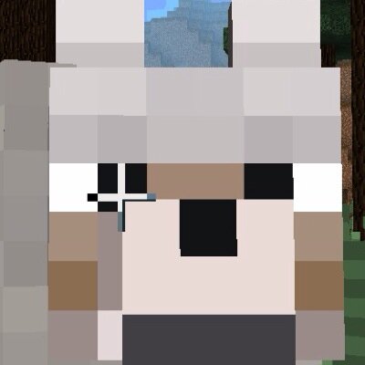 Minecraft!?